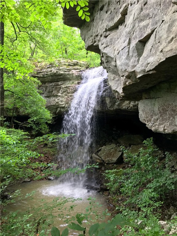 Image 15