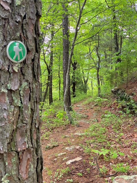 Image 16