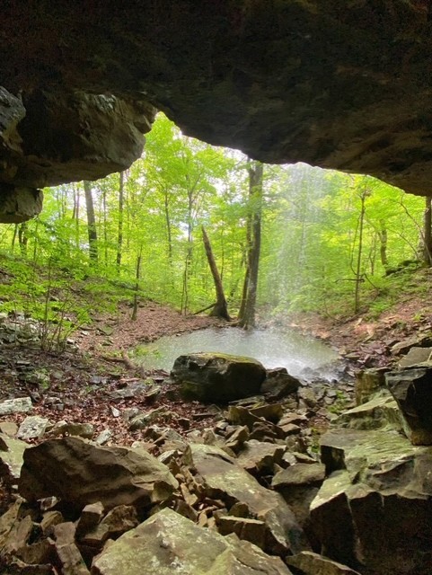 Image 18