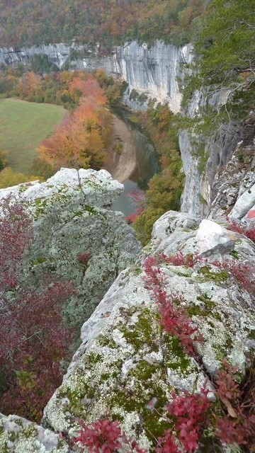 Image 31