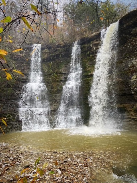 Image 32