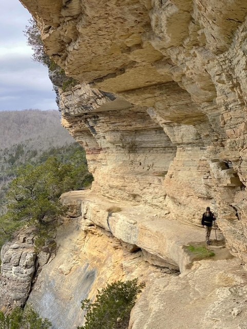 Image 35