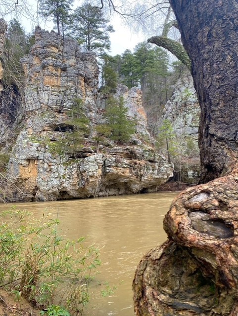 Image 36