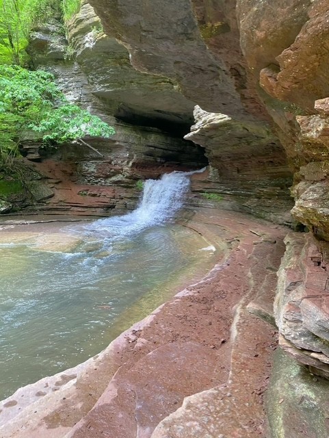 Image 37