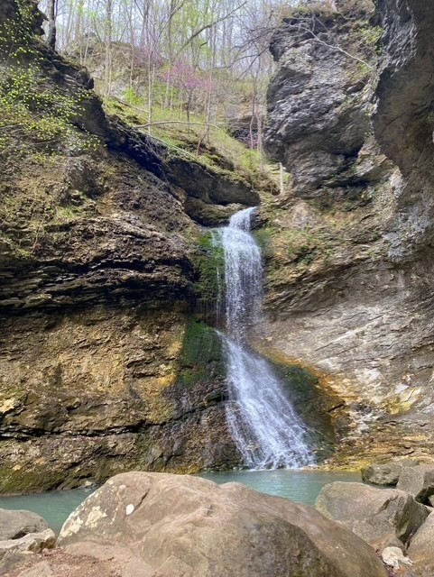 Image 45