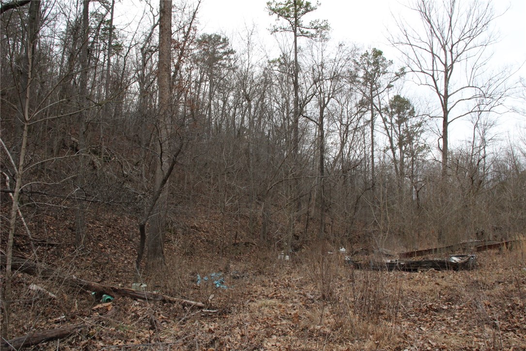 Image 14