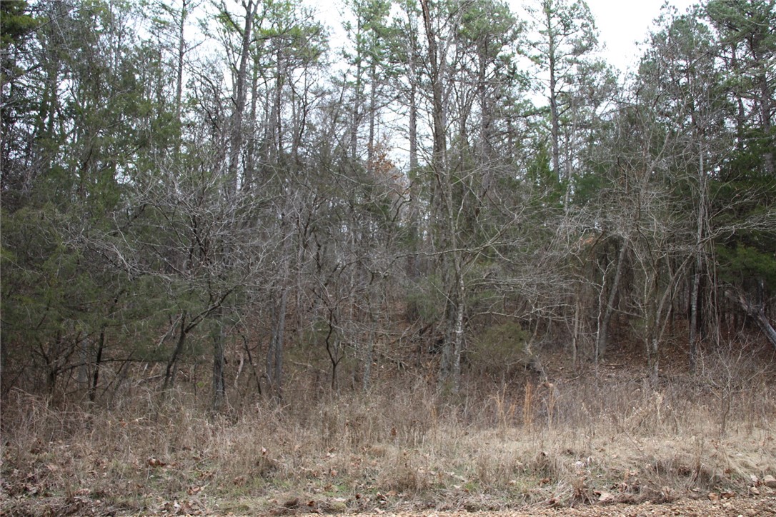 Image 15