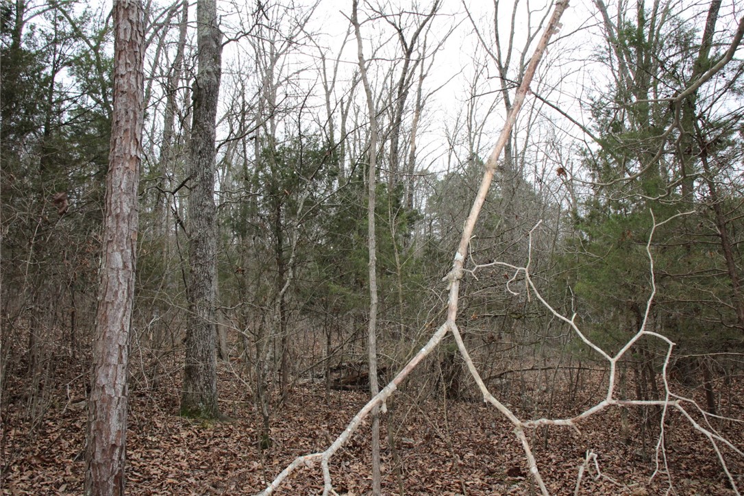 Image 16