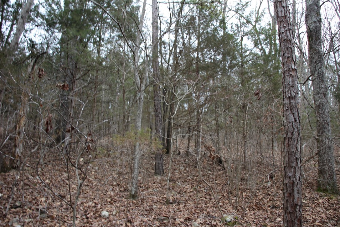 Image 17