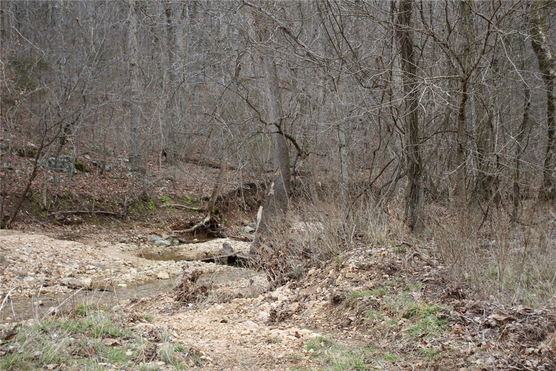 Image 28