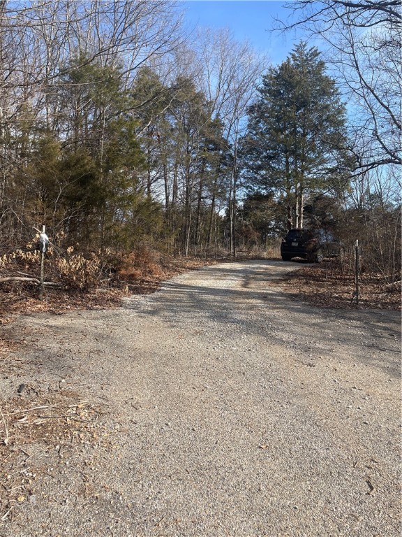 Image 19
