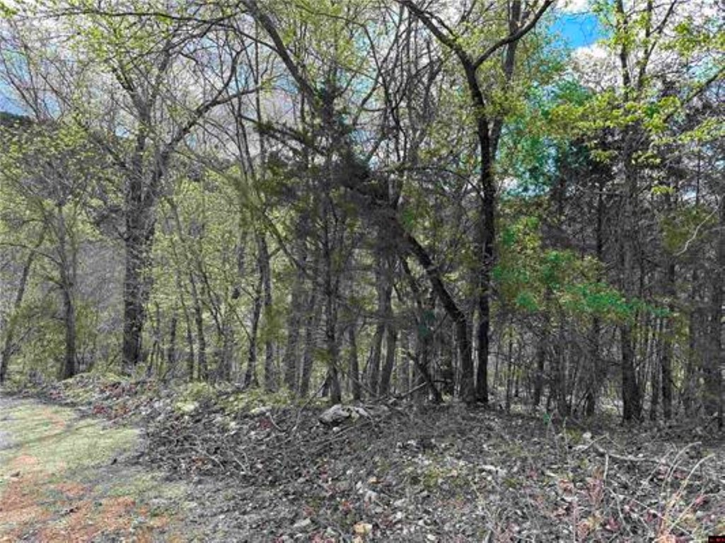 Image 6