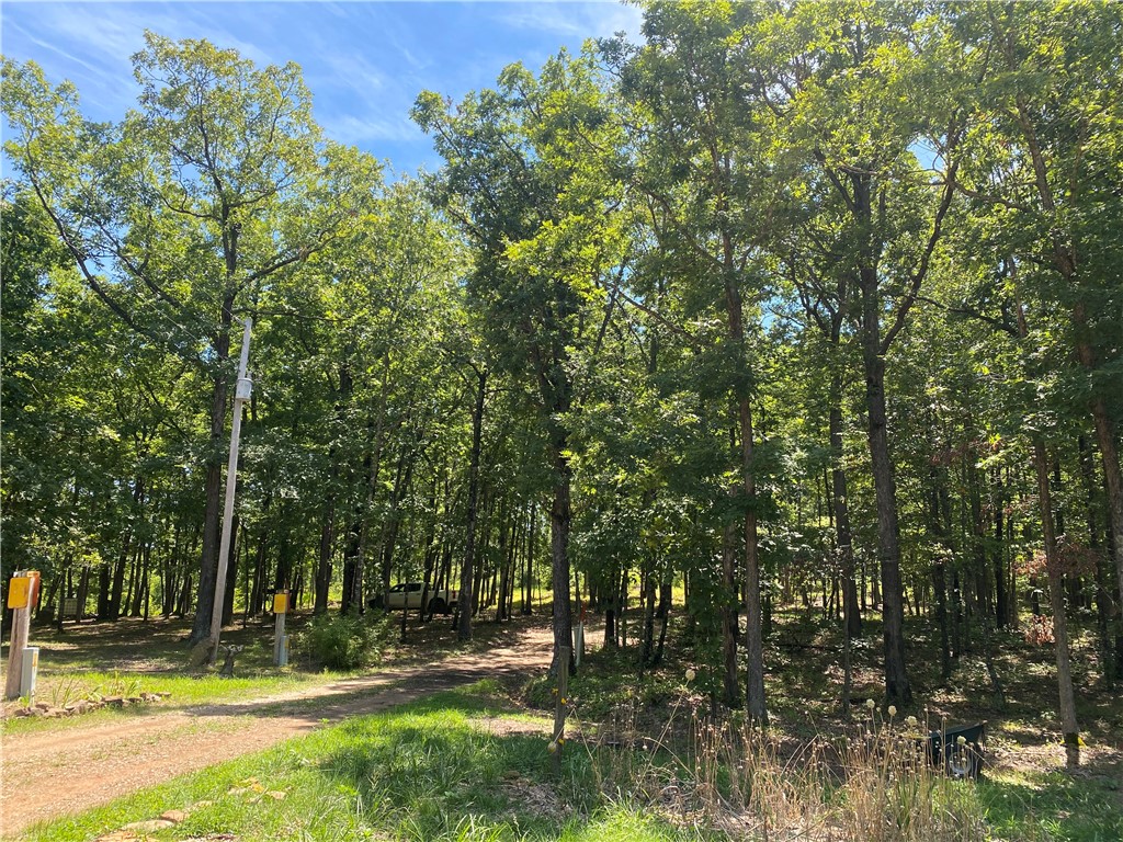 Image 10