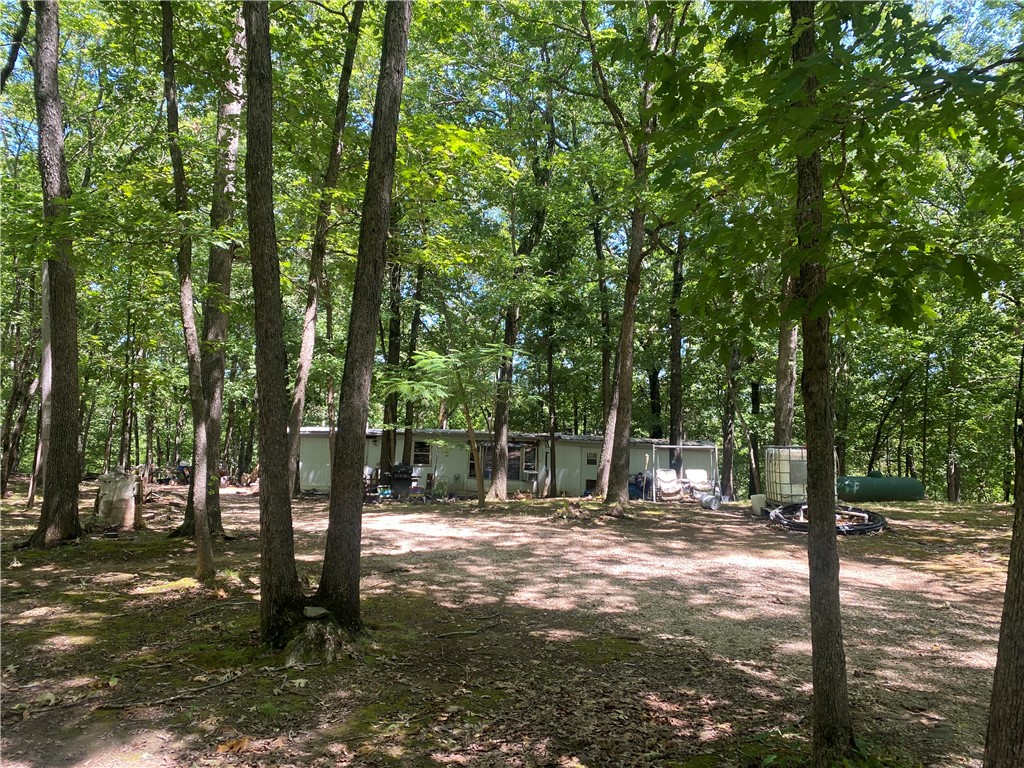 Image 12