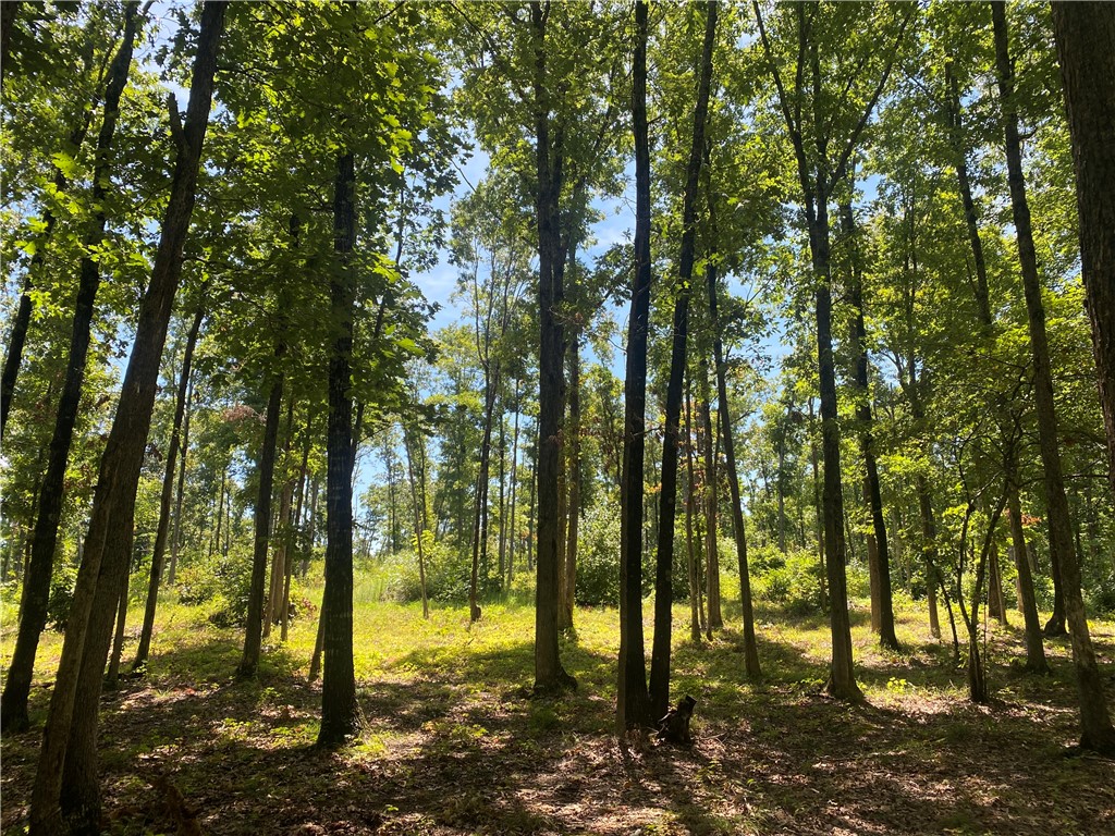 Image 13