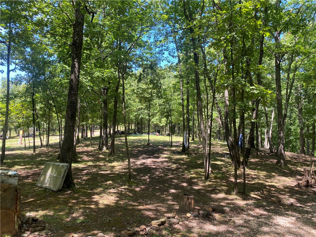 Image 14