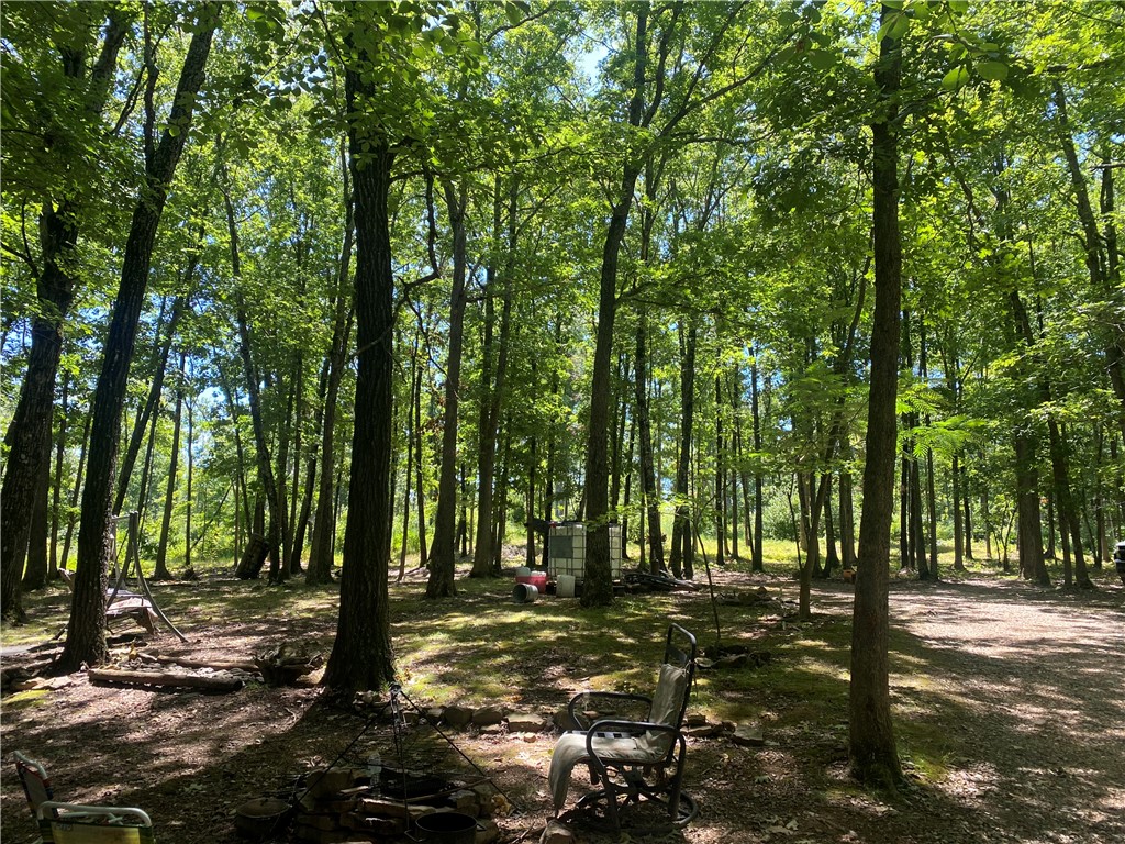 Image 15