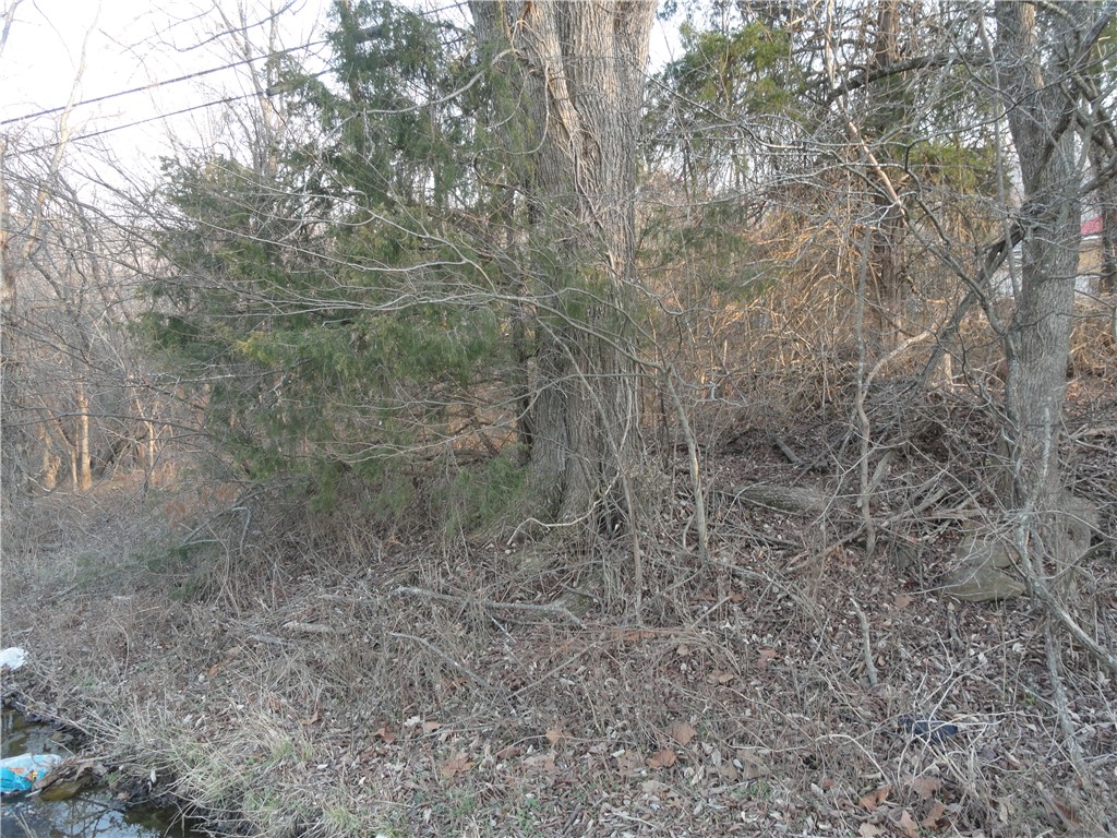 Image 12