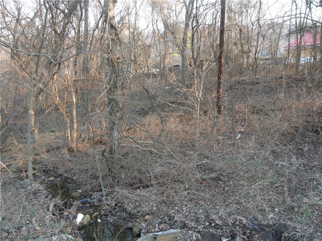Image 14