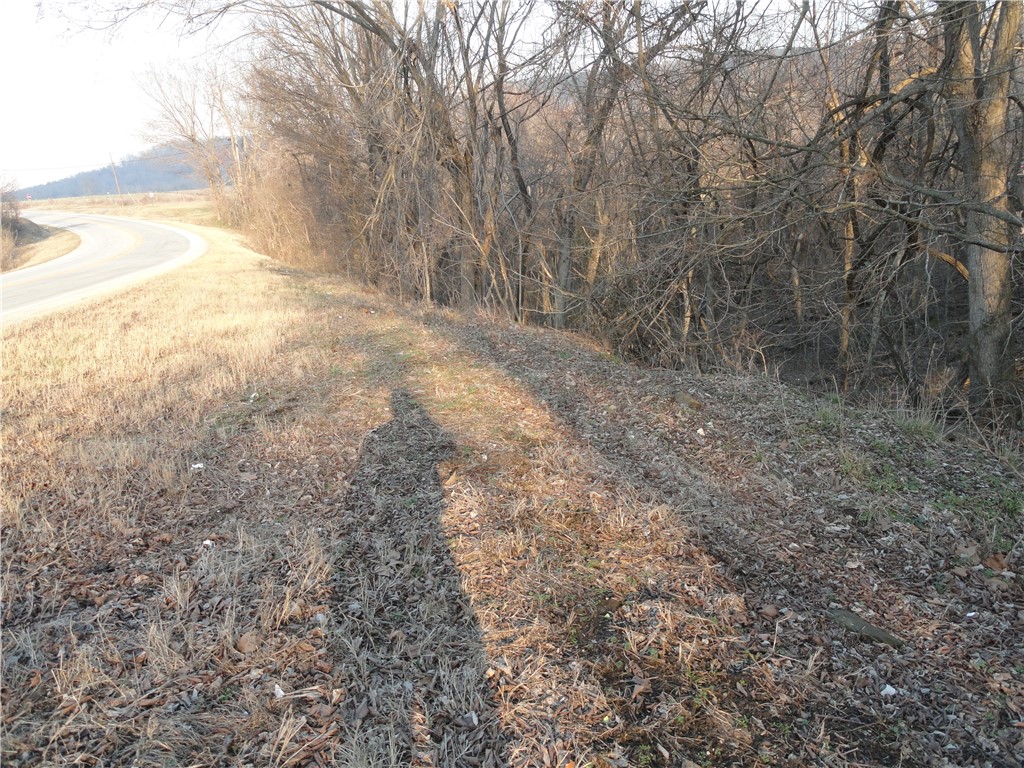 Image 15