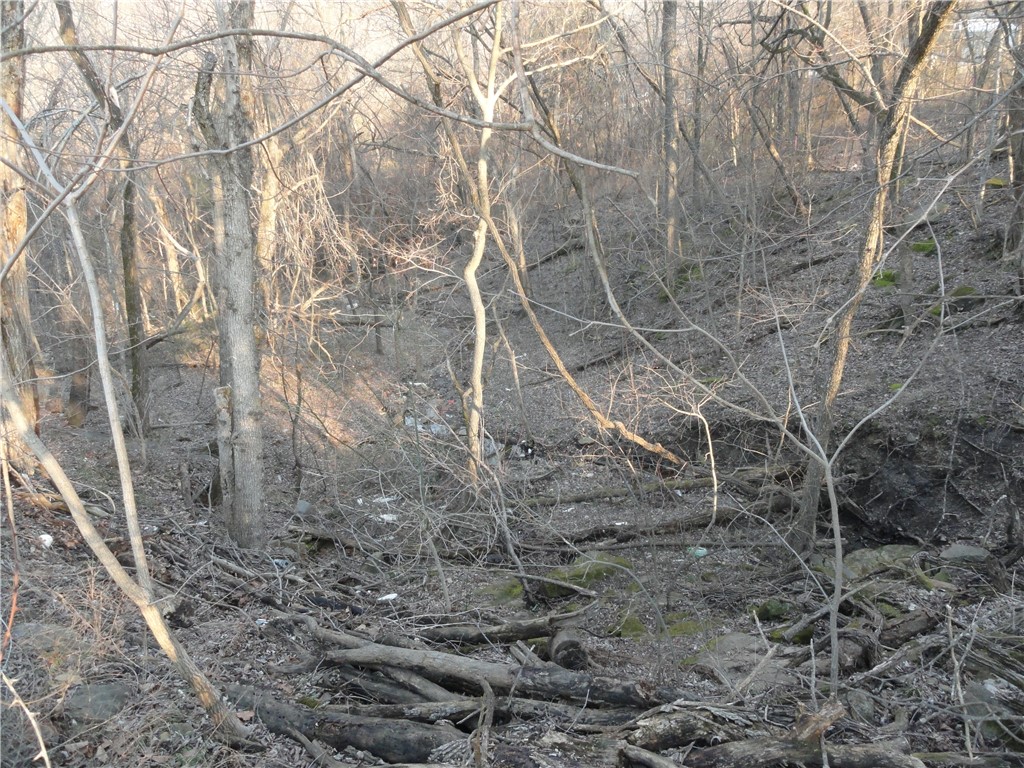 Image 16