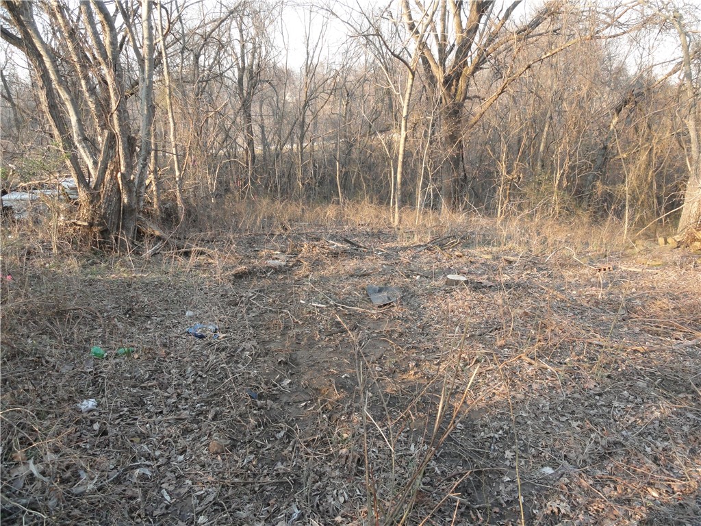 Image 7