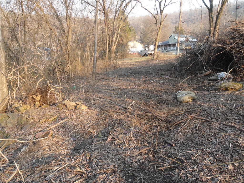 Image 8