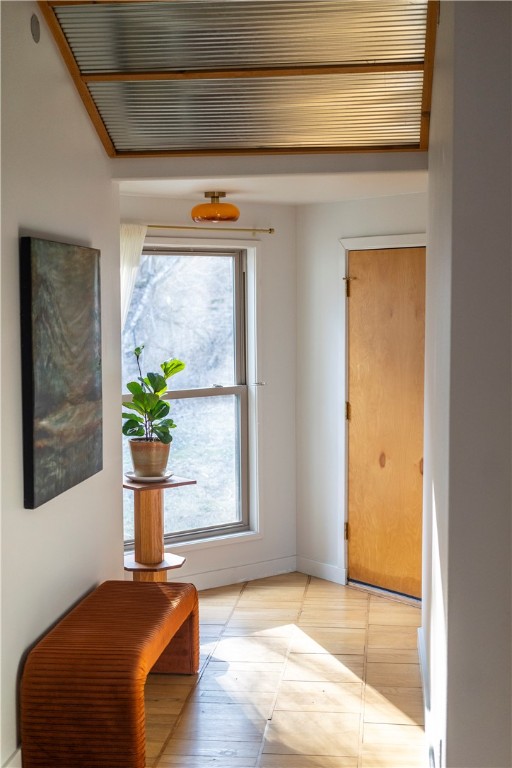 Image 19