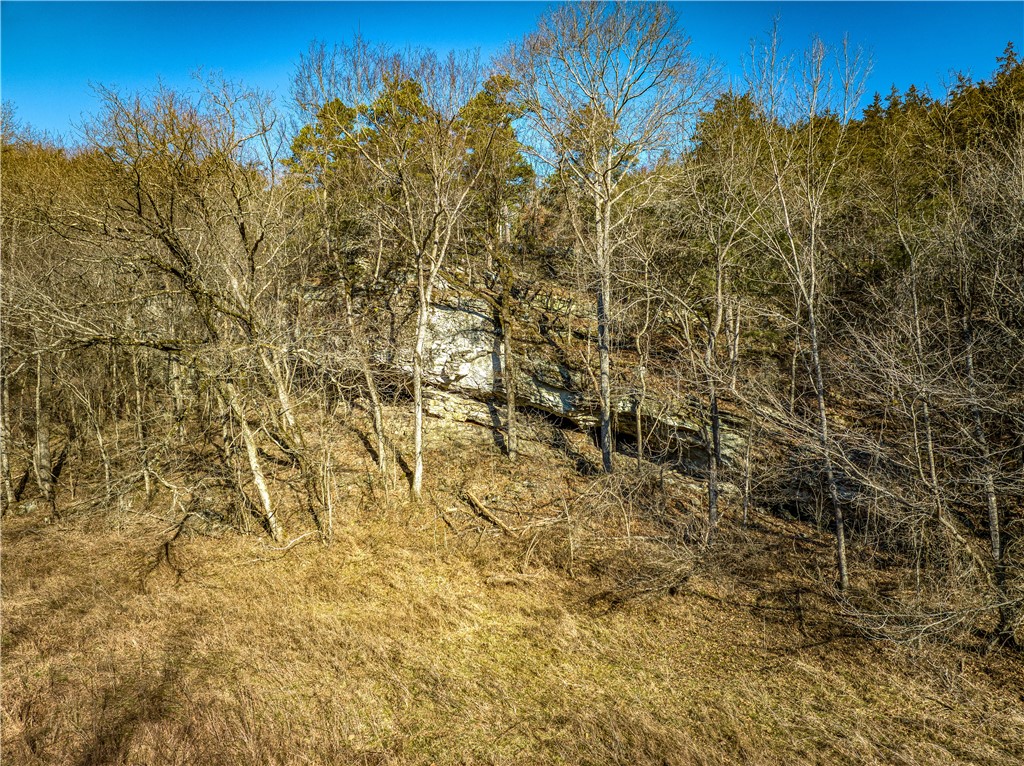 Image 12