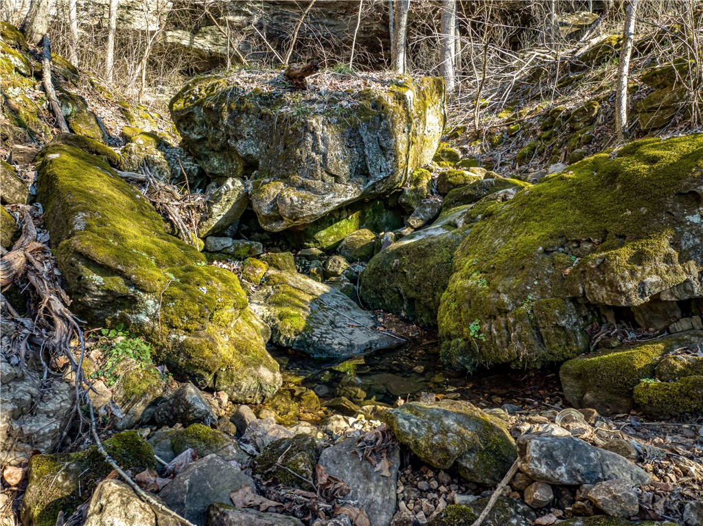 Image 13