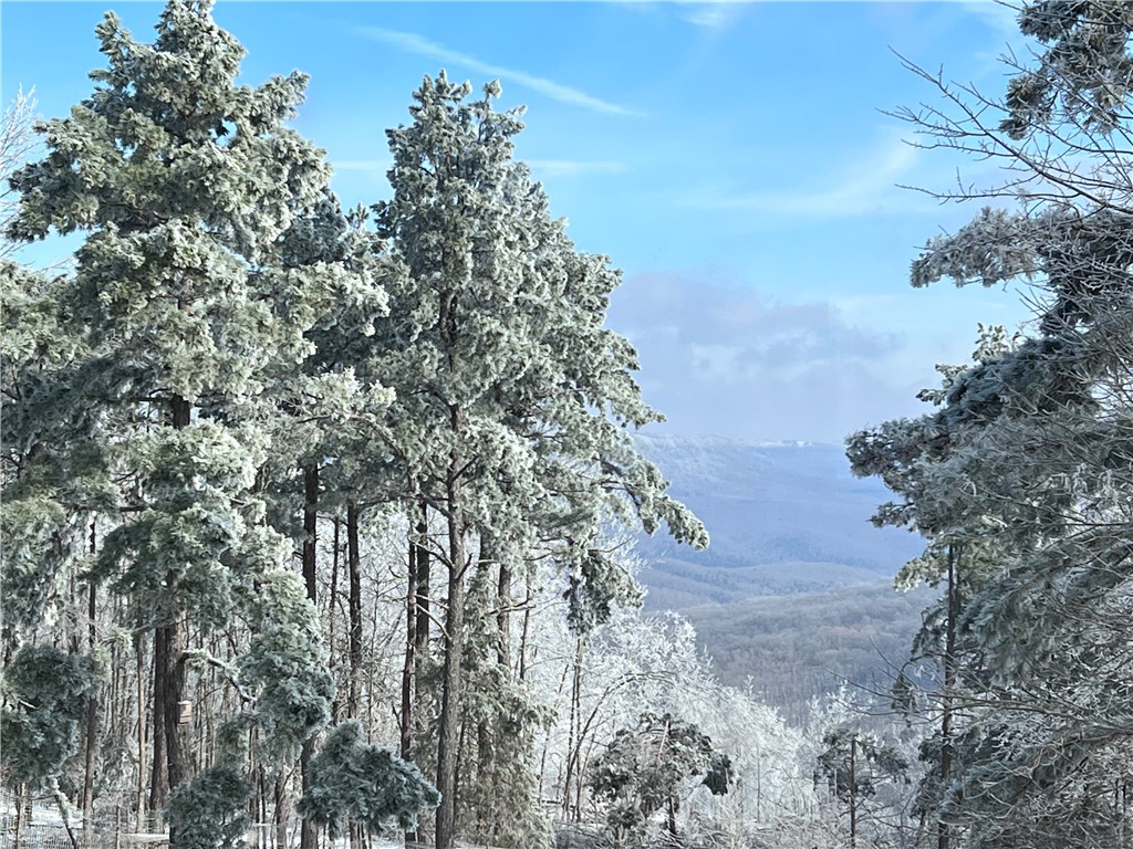 Image 35