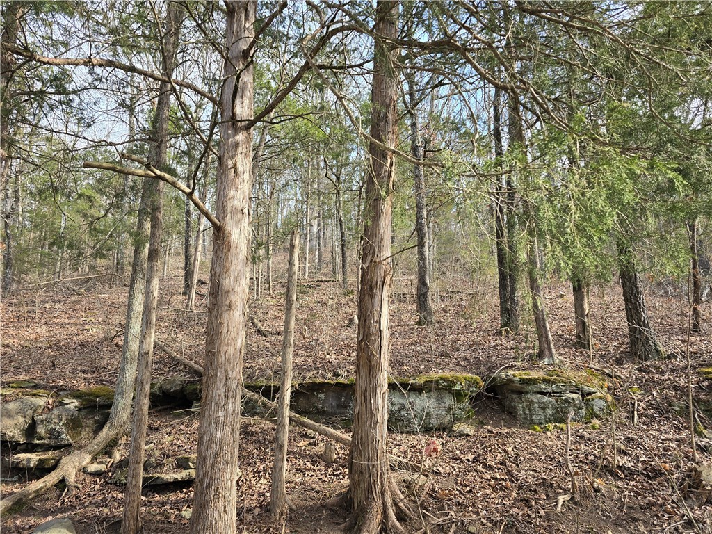 Image 48