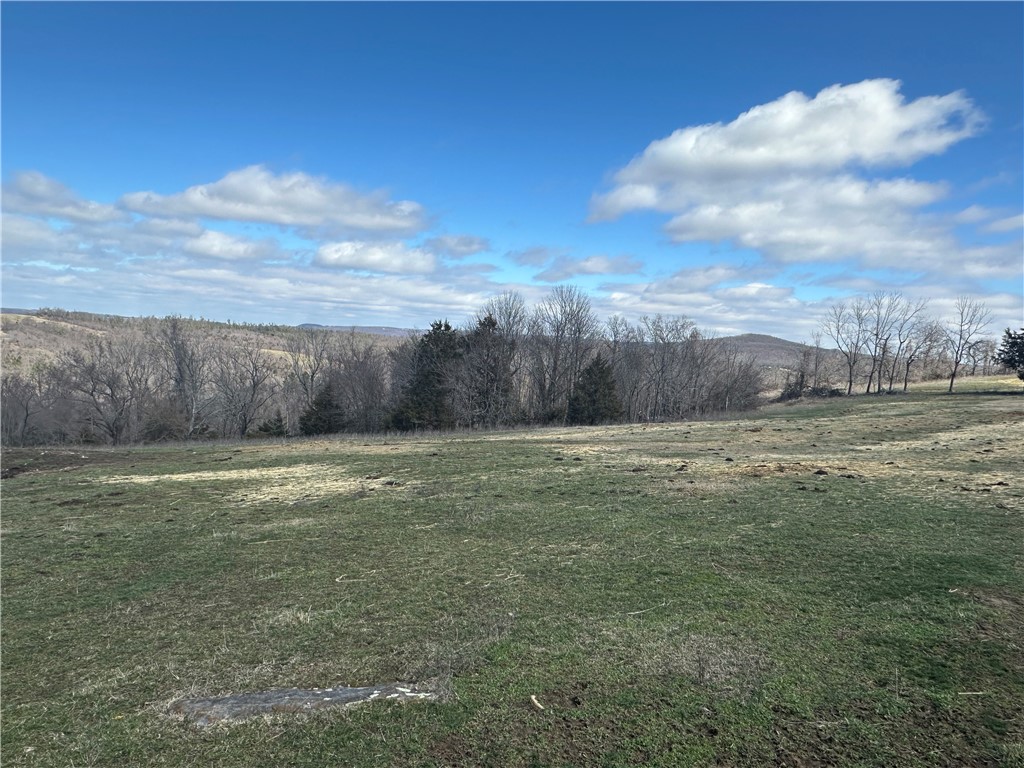 Image 13