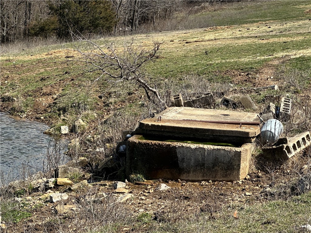 Image 19