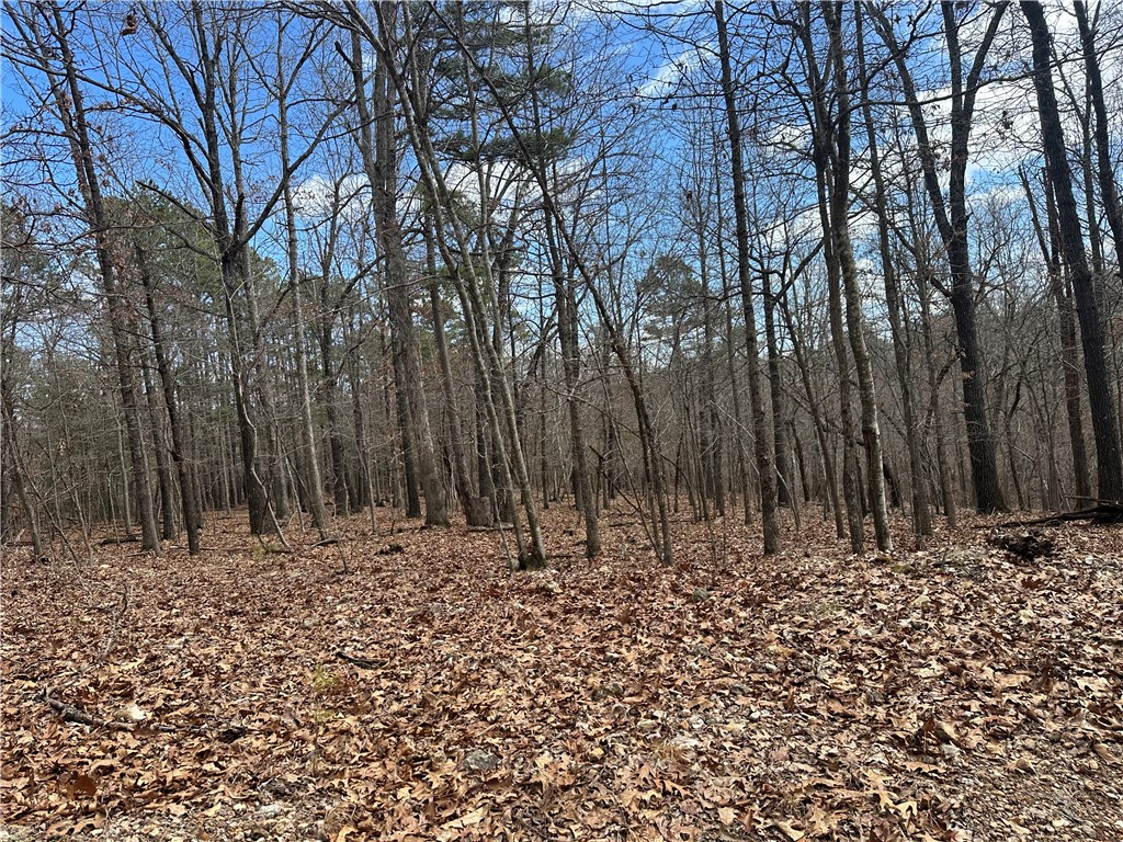 Image 10
