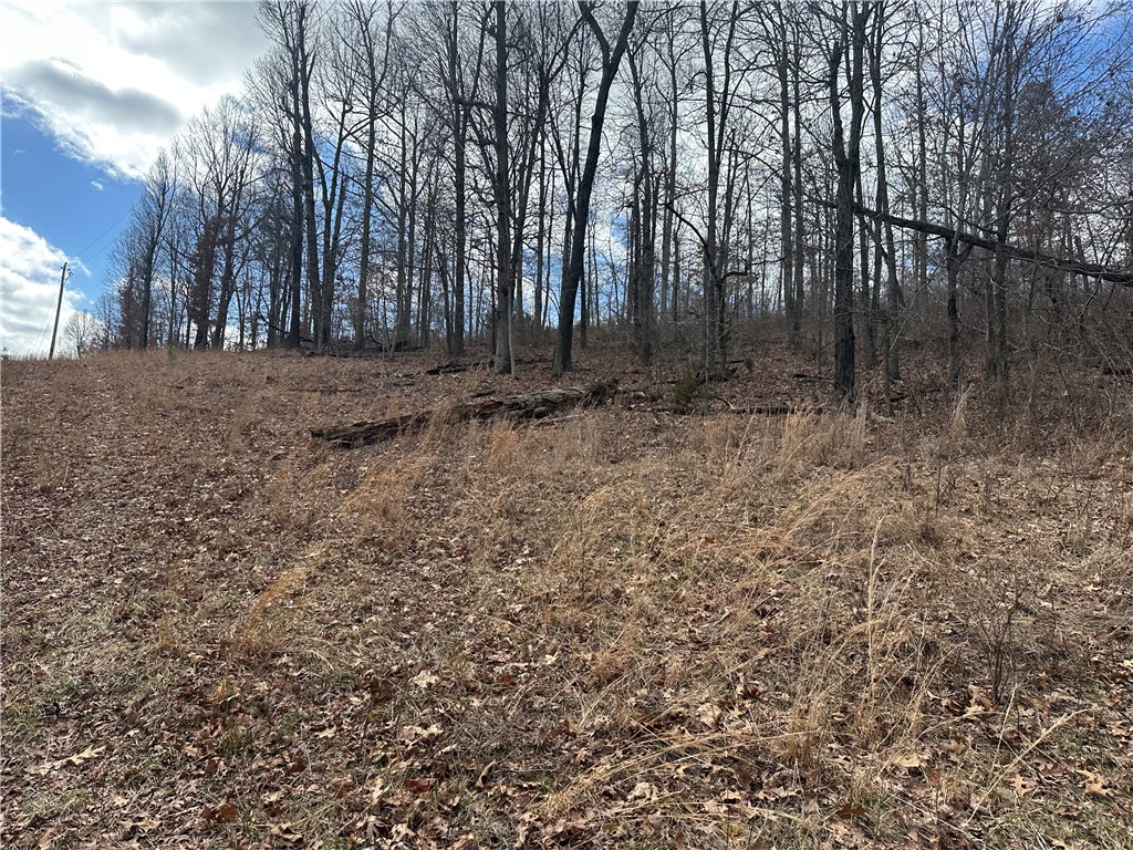 Image 12