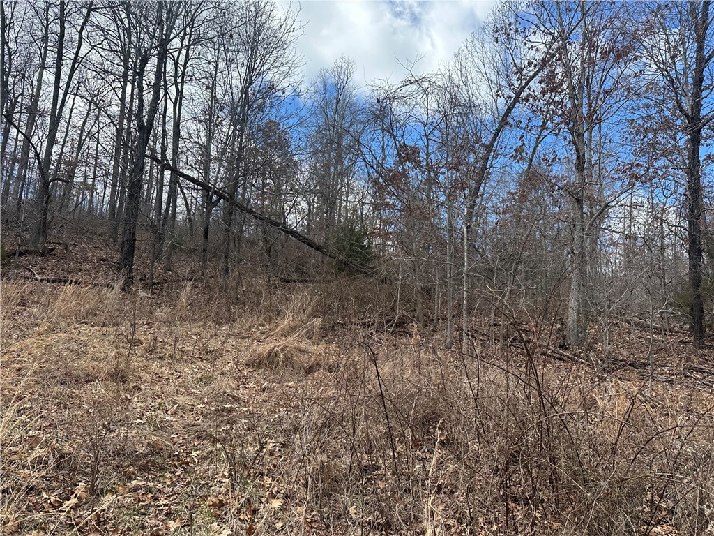 Image 13