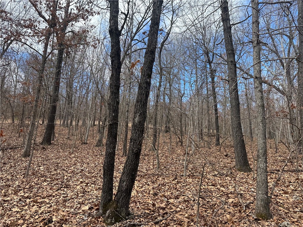 Image 9