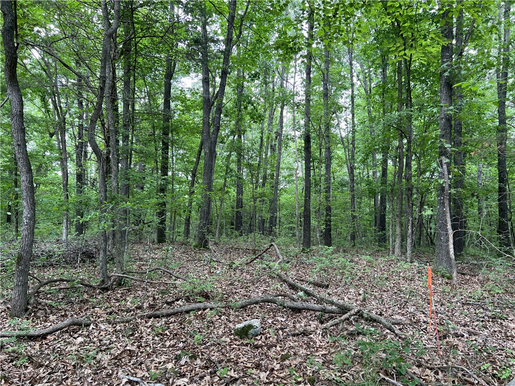 Ozark Haven Realty property-listing-thumbnail