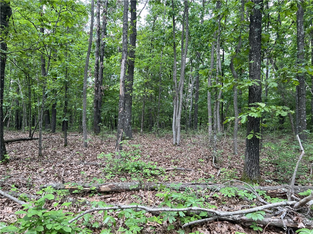 Ozark Haven Realty property-listing-thumbnail
