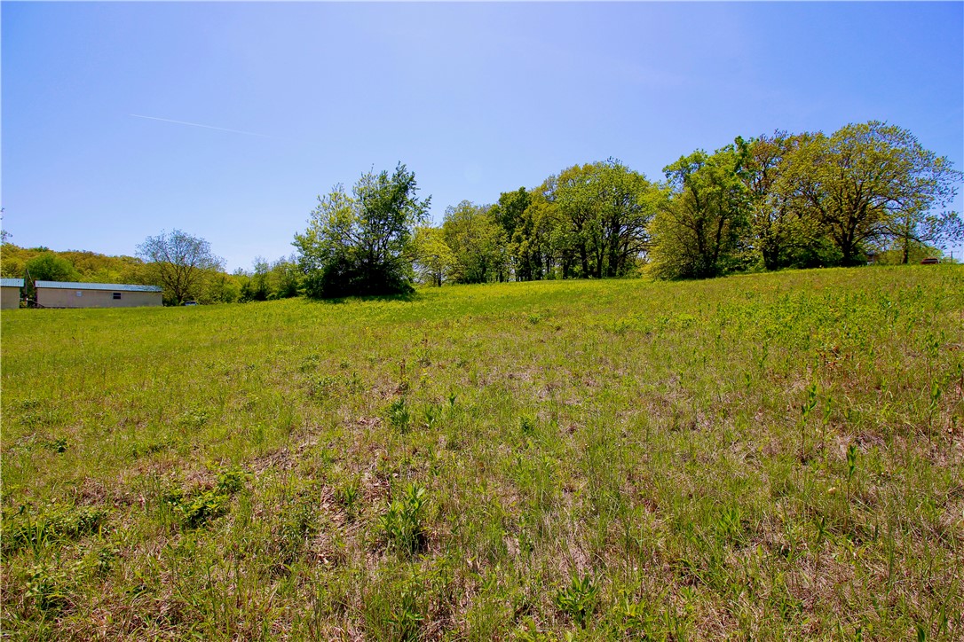 Image 13