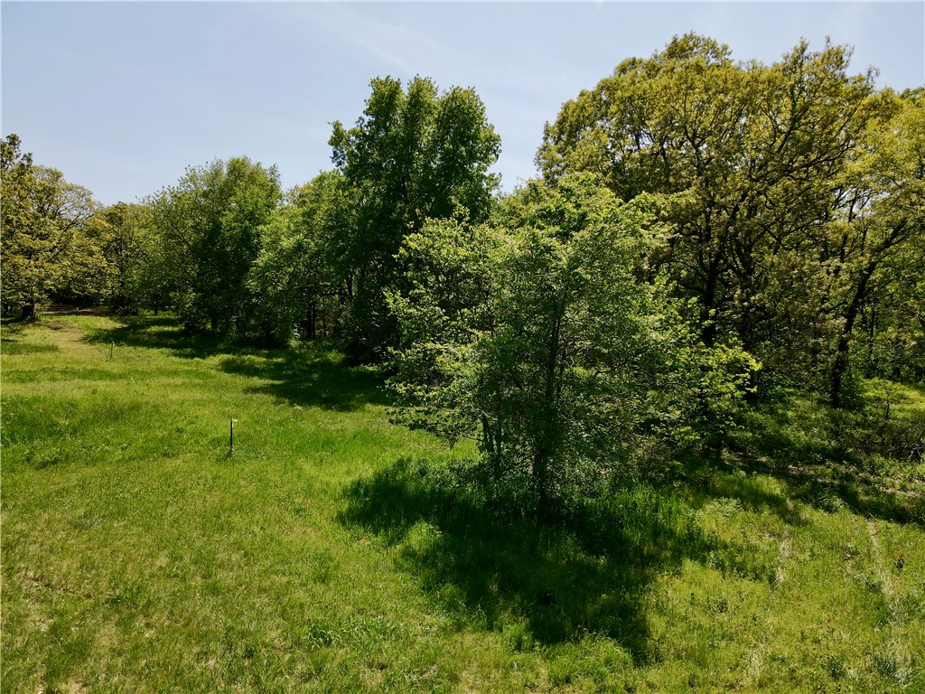 Image 29