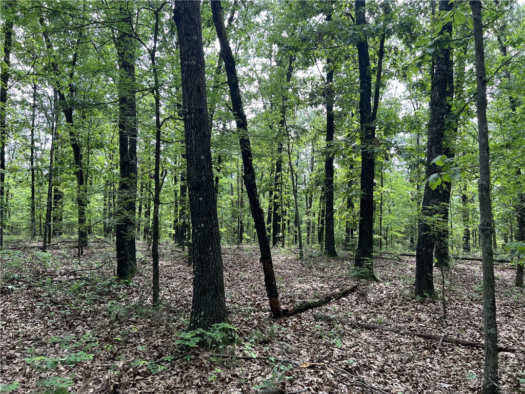 Ozark Haven Realty property-listing-thumbnail