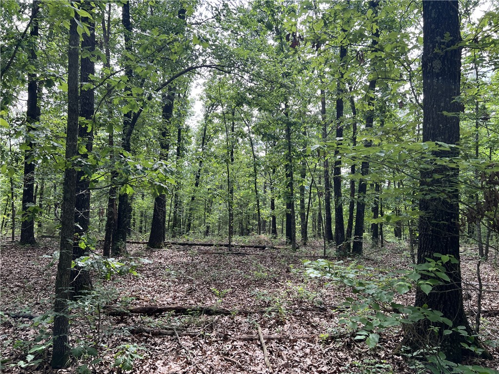 Image 15