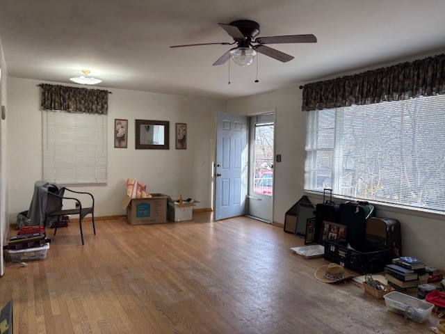 Image 8