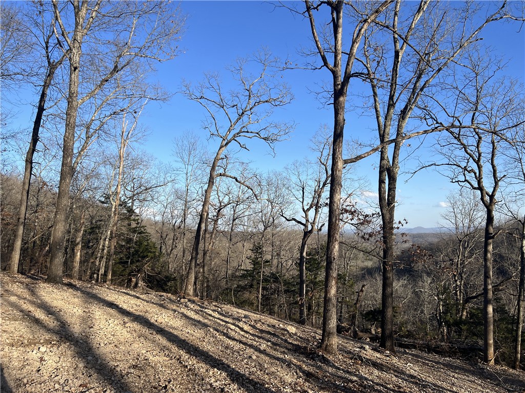 Ozark Haven Realty property-listing-thumbnail