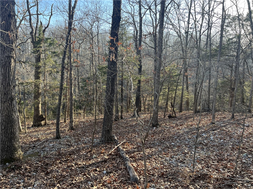 Image 12