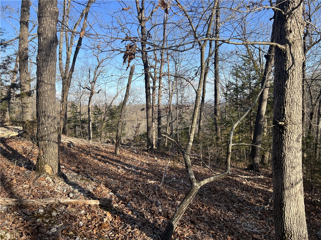 Image 13