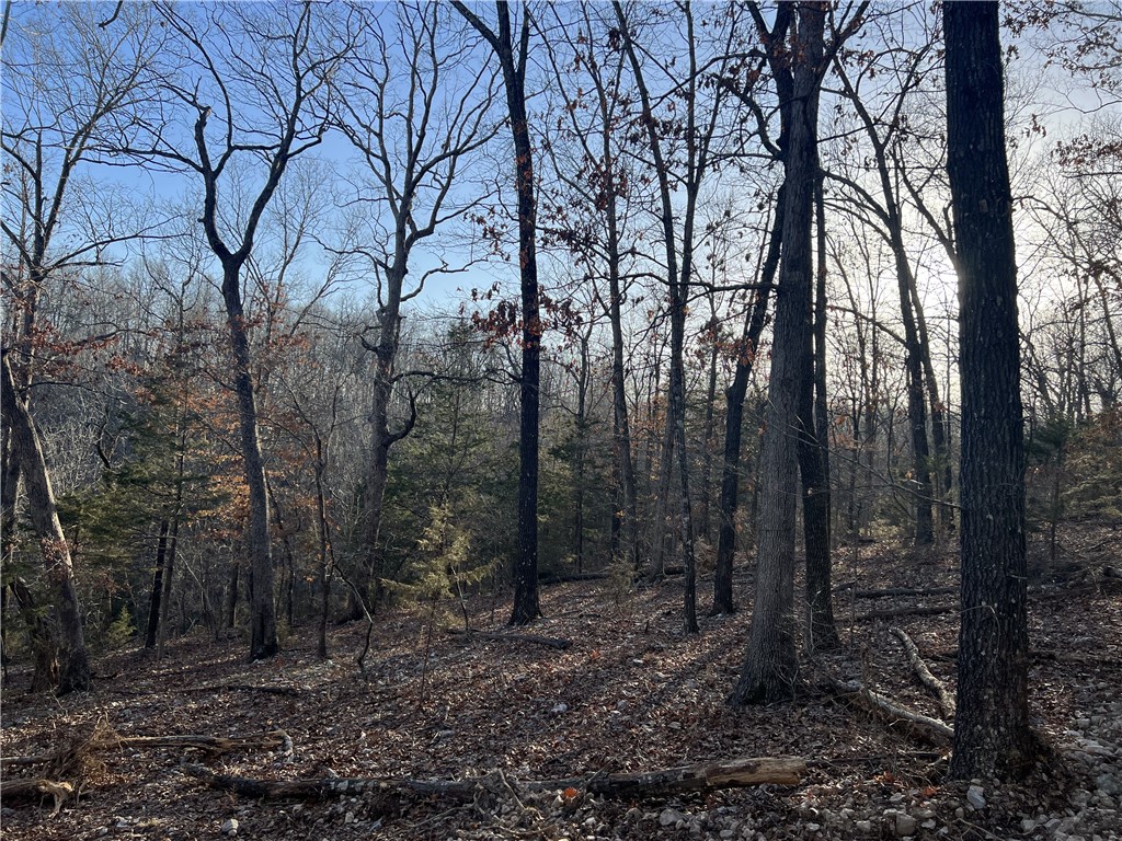 Image 14