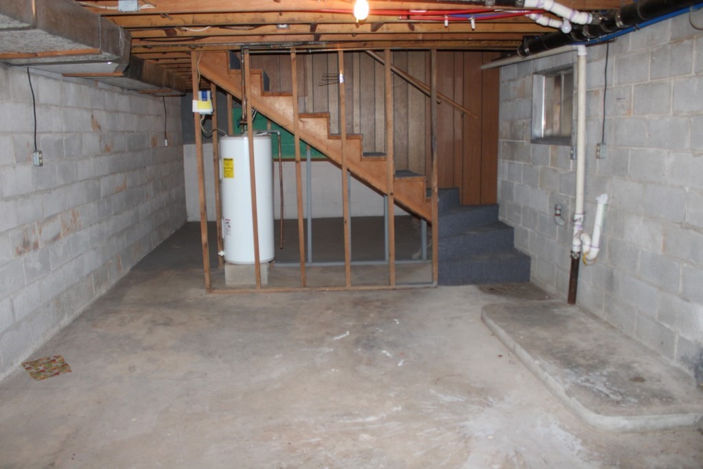 Image 19